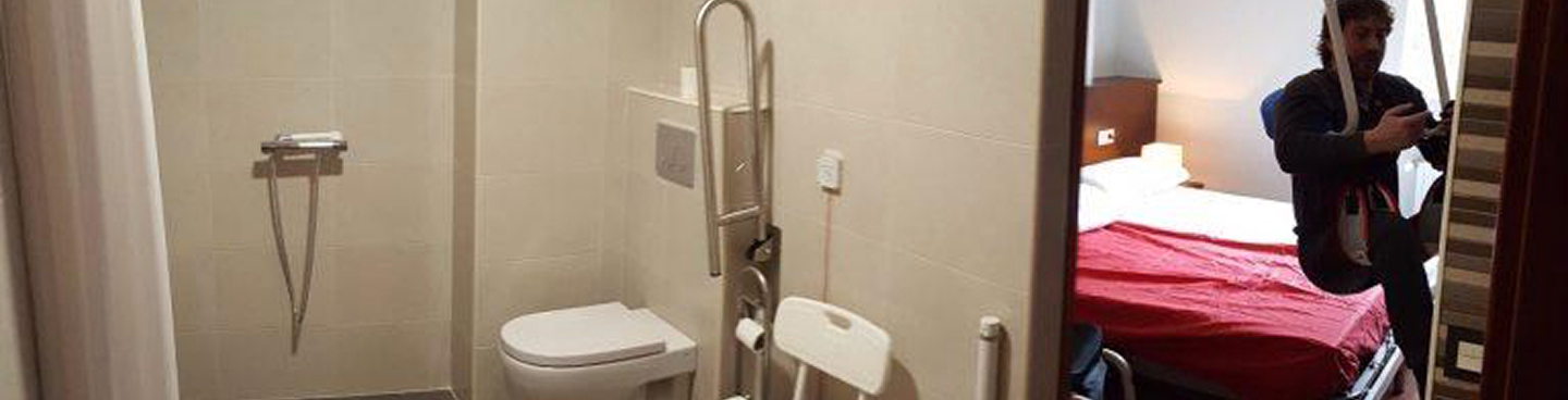 Grúas de techo
