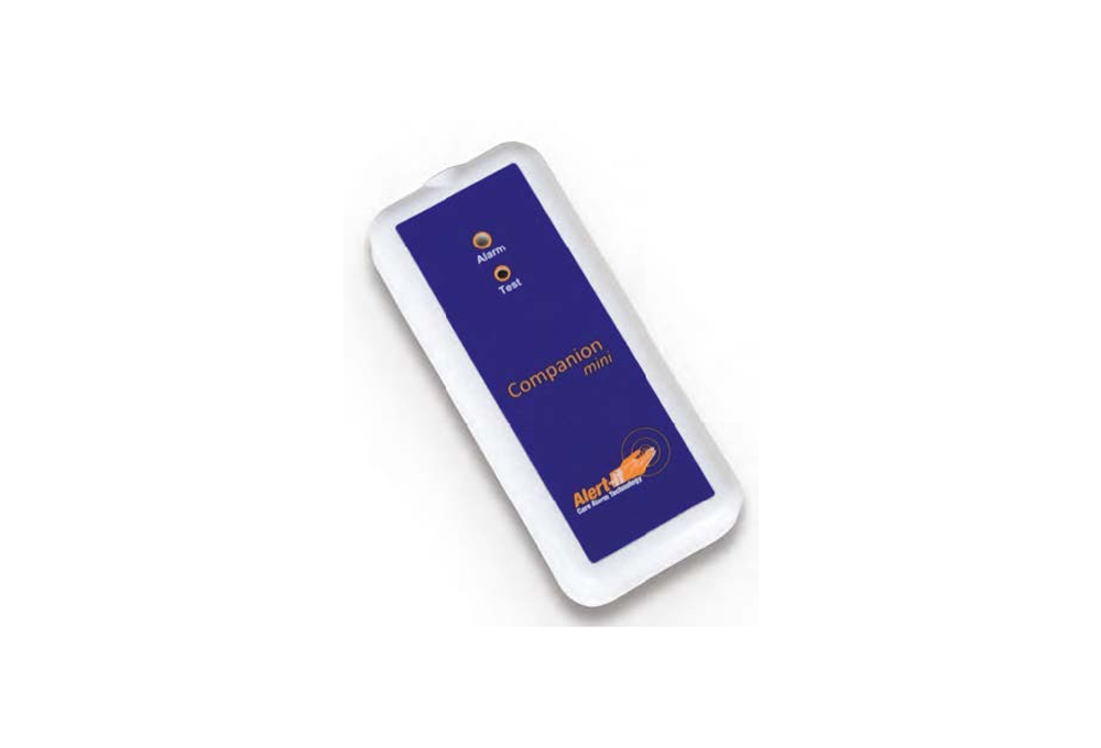 Companion: detector de posibles ataques de epilepsia