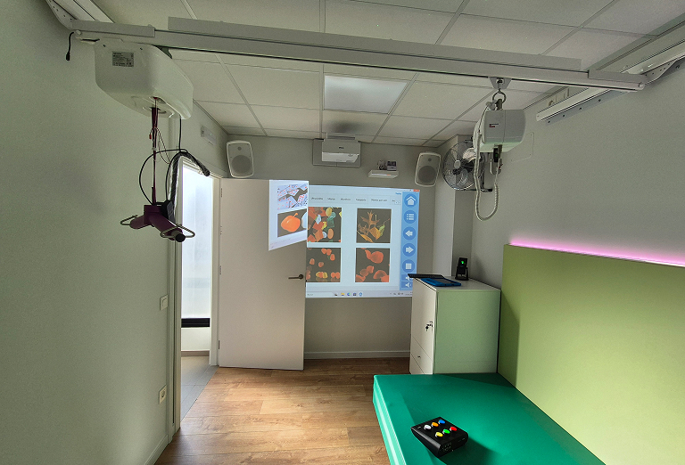 articulo4-768x522 192